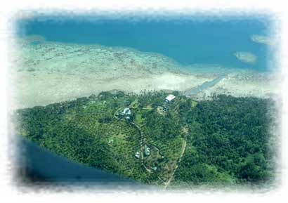 Aerial View of Lomalagi
