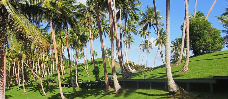 Walkways through the plantation lead to 'Mount Lomalagi', the highest point on the Lomalagi Resort property.