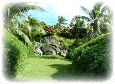 The Magic Circle - Intimate Garden setting